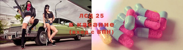 СК Алексин