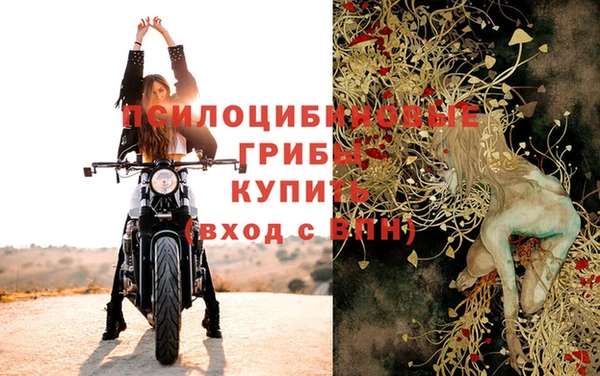 гашик Алзамай