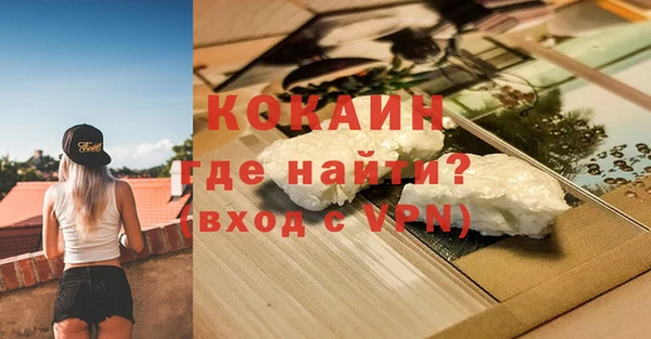 СК Алексин