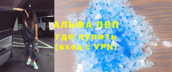 СК Алексин