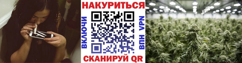 Каннабис SATIVA & INDICA  как найти   Себеж 